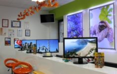 Франшиза Onlinetours: Интернет-магазин путешествий