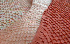 Франшиза Fish Skin Leather: Производство рыбьих кож