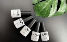 Франшиза Laro: Продажа товаров для маникюра