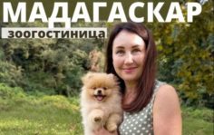 Франшиза Мадагаскар: Зоогостиница