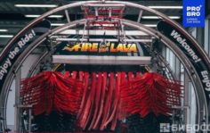 Франшиза PRO BRO Express Car Wash: Экспресс автомойка