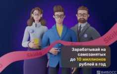 Франшиза Skilla Работа: IT-площадка, соединяющая заказчиков и исполнителей