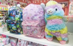 Франшиза SWEET CAT SHOP: Бренд яркой канцелярии