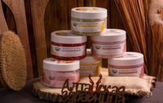 Франшиза Алтайская здравница: Первый Таёжный SPA в России