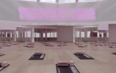 Франшиза TOPSTRETCHING™: Международная сеть студий растяжки и фитнеса