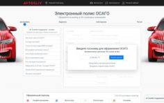 Франшиза AVTOSLIV.RU: Онлайн-бизнес автострахования ОСАГО и автоуслуг