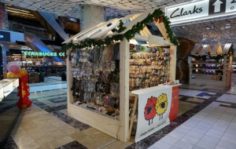 Франшиза Шерстянки: Шерстяные носки и варежки