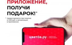 Франшиза Цветов.ру: Сеть цветочных магазинов