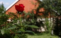 Франшиза Теплые беседы: Сеть частных пансионатов для пожилых