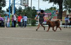 Франшиза DogPride: Кинологический тренинговый центр
