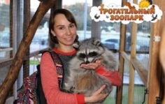 Франшиза Трогательный зоопарк: Контактный зоопарк