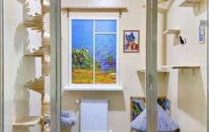 Франшиза Мадагаскар: Зоогостиница