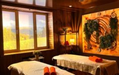 Франшиза Алтайская здравница: Первый Таёжный SPA в России