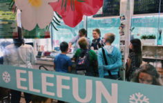Франшиза EleFUN: Кафе тайского мороженого