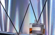 Франшиза LaVenti