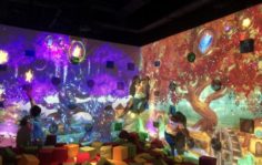 Франшиза Hello Park: Крупнейшая сеть мультимедийных парков развлечений