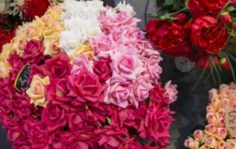 Франшиза TERRAFIORI: Магазин имитаций живых цветов