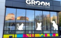 Франшиза GROOM: Груминг животных, дилеры производителей элитной косметики