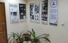 живой уголок)) За работой